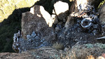 photo thumbnail #12