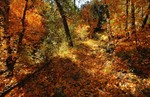 photo thumbnail #8