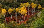 photo thumbnail #5