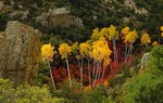 photo thumbnail #7