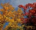 photo thumbnail #9