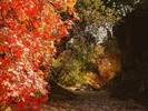 photo thumbnail #13