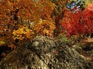 photo thumbnail #14