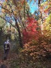 photo thumbnail #4