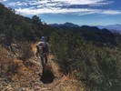 photo thumbnail #7