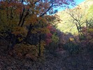 photo thumbnail #15