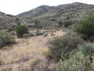 photo thumbnail #12