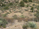 photo thumbnail #13