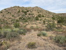 photo thumbnail #14