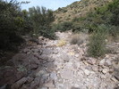 photo thumbnail #15