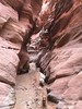 photo thumbnail #14