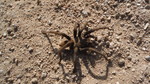 photo thumbnail #1