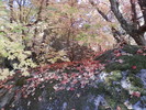 photo thumbnail #12