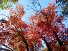 photo thumbnail #11