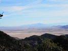 photo thumbnail #13