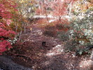 photo thumbnail #2