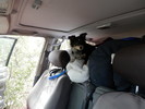 photo thumbnail #8