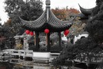 photo thumbnail #15