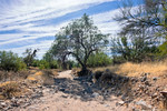 photo thumbnail #5