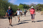 photo thumbnail #6