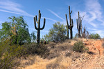 photo thumbnail #7