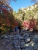 photo thumbnail #1