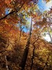 photo thumbnail #14