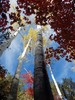 photo thumbnail #15
