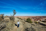 photo thumbnail #10