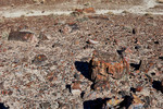 photo thumbnail #13