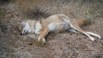 photo thumbnail #2