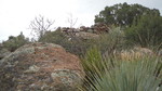 photo thumbnail #5