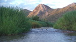 photo thumbnail #11