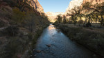 photo thumbnail #8