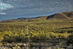 photo thumbnail #15