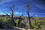 photo thumbnail #14