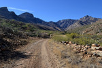 photo thumbnail #2