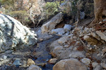 photo thumbnail #7