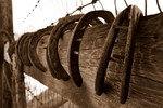 photo thumbnail #14