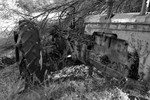 photo thumbnail #15