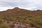 photo thumbnail #1