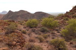 photo thumbnail #13
