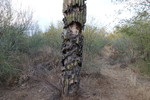photo thumbnail #5