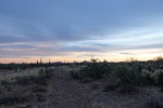photo thumbnail #6