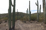 photo thumbnail #12