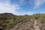 photo thumbnail #15