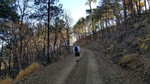 photo thumbnail #1