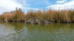 photo thumbnail #11