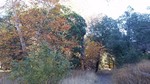 photo thumbnail #2