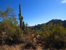 photo thumbnail #12